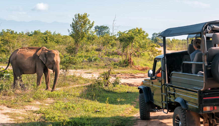 Yala National Park