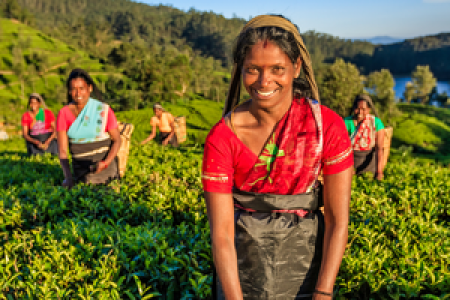 Highlights of Sri Lanka