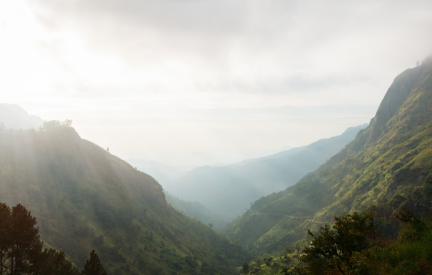 Ceylon Nature